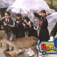 テレ朝チャンネル1「AKB48チーム8のあんた、ロケロケ！」#25は11月24日(金)オンエア！