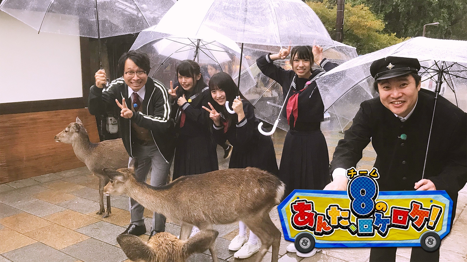 某メーカー DVD】チーム8のあんた、ロケ！ | AKB48 Official