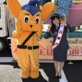 本田仁美が、中央警察署一日警察署長として、交通安全キャンペーンに参加しました！